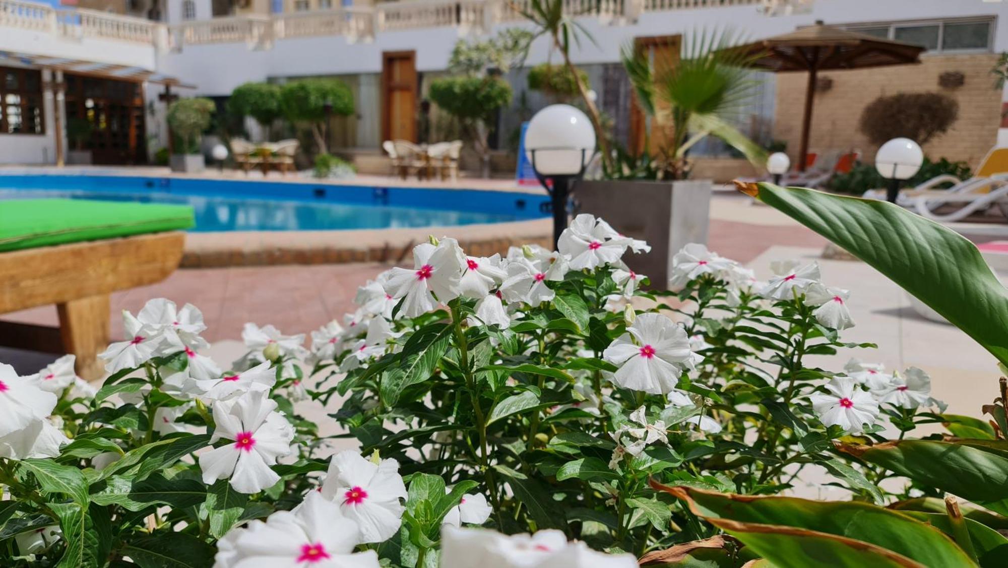 Zak Inn Hurghada Exterior foto